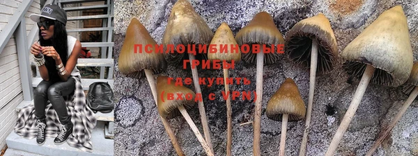 a pvp Строитель